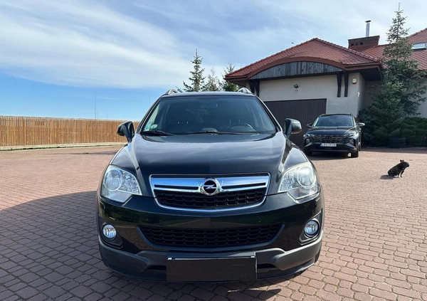 Opel Antara cena 33000 przebieg: 116728, rok produkcji 2015 z Ryki małe 596